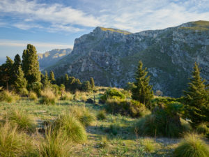 Puig de sa Creu, Parc natural de la península de Llevant, Mallorca, Balearic Islands, Spain Puig de sa Creu, Parc natural de la península de Llevant, Mallorca, Balearic Islands, Spain